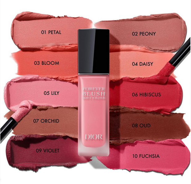 Dior Forever Blush Soft Filter