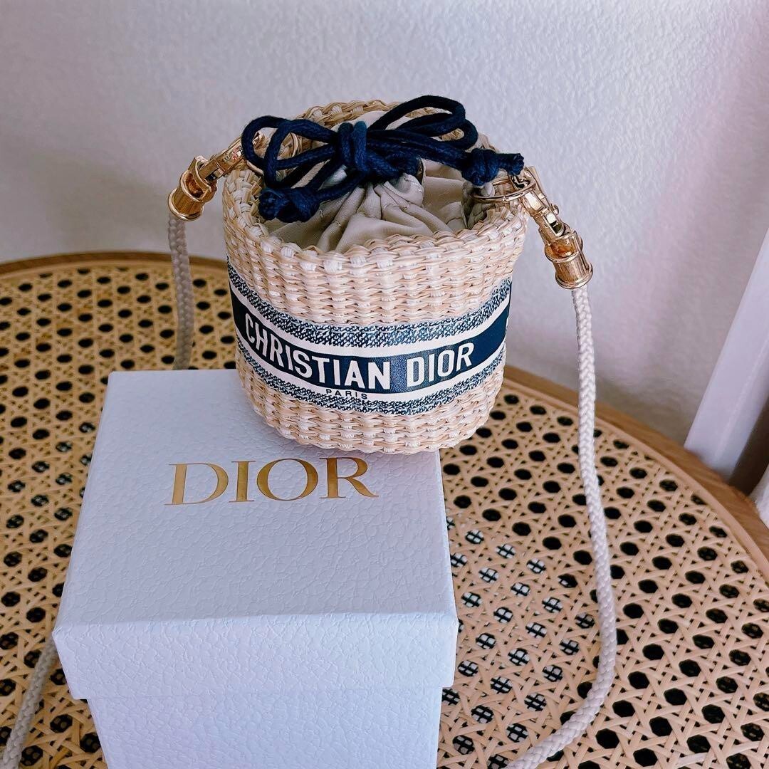 Dior straw pouch novelty bag